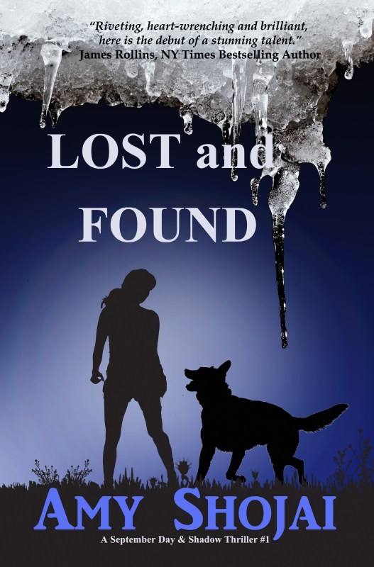 Lost And Found book cover