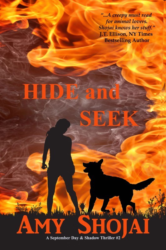 Hide And Seek book cover