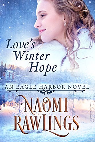 Love's Winter Hope book cover