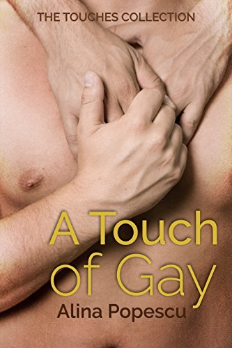 A Touch of Gay book cover
