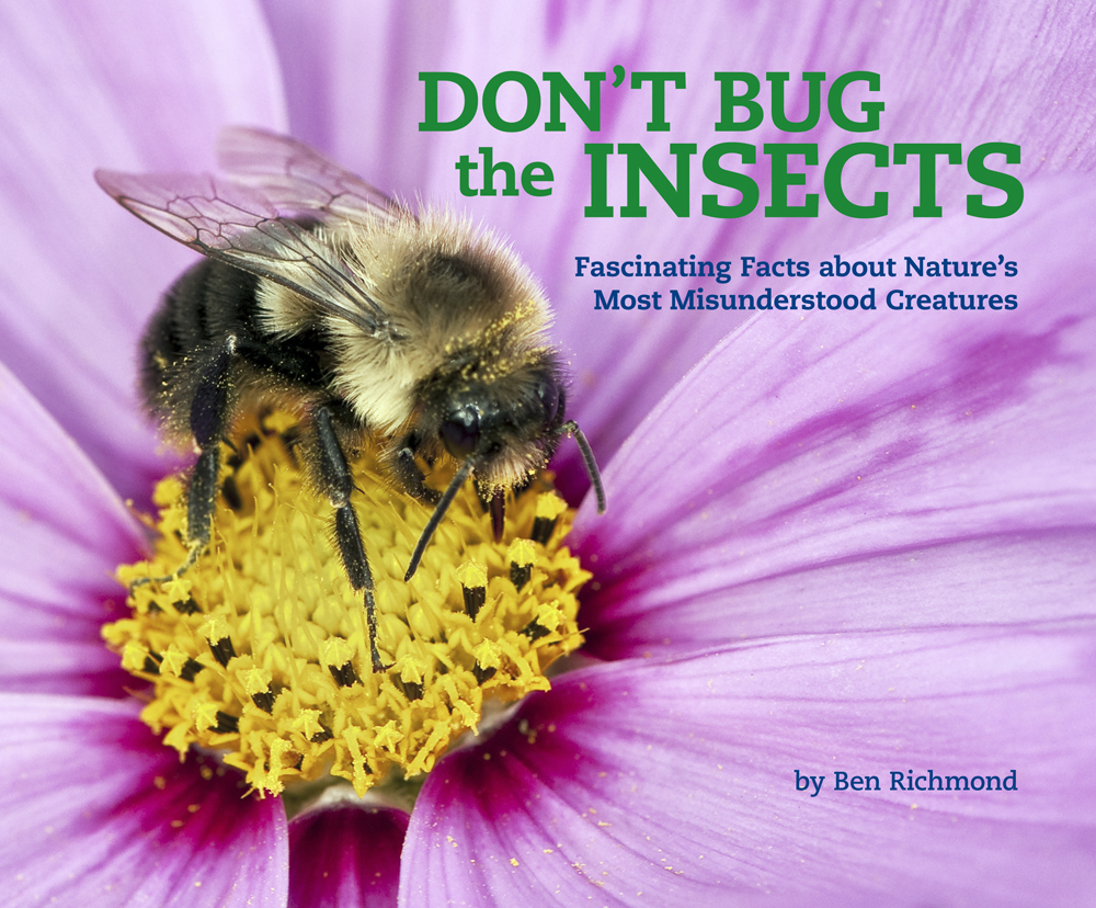 Don't Bug the Insects: Fascinating Facts about Nature's Most ...