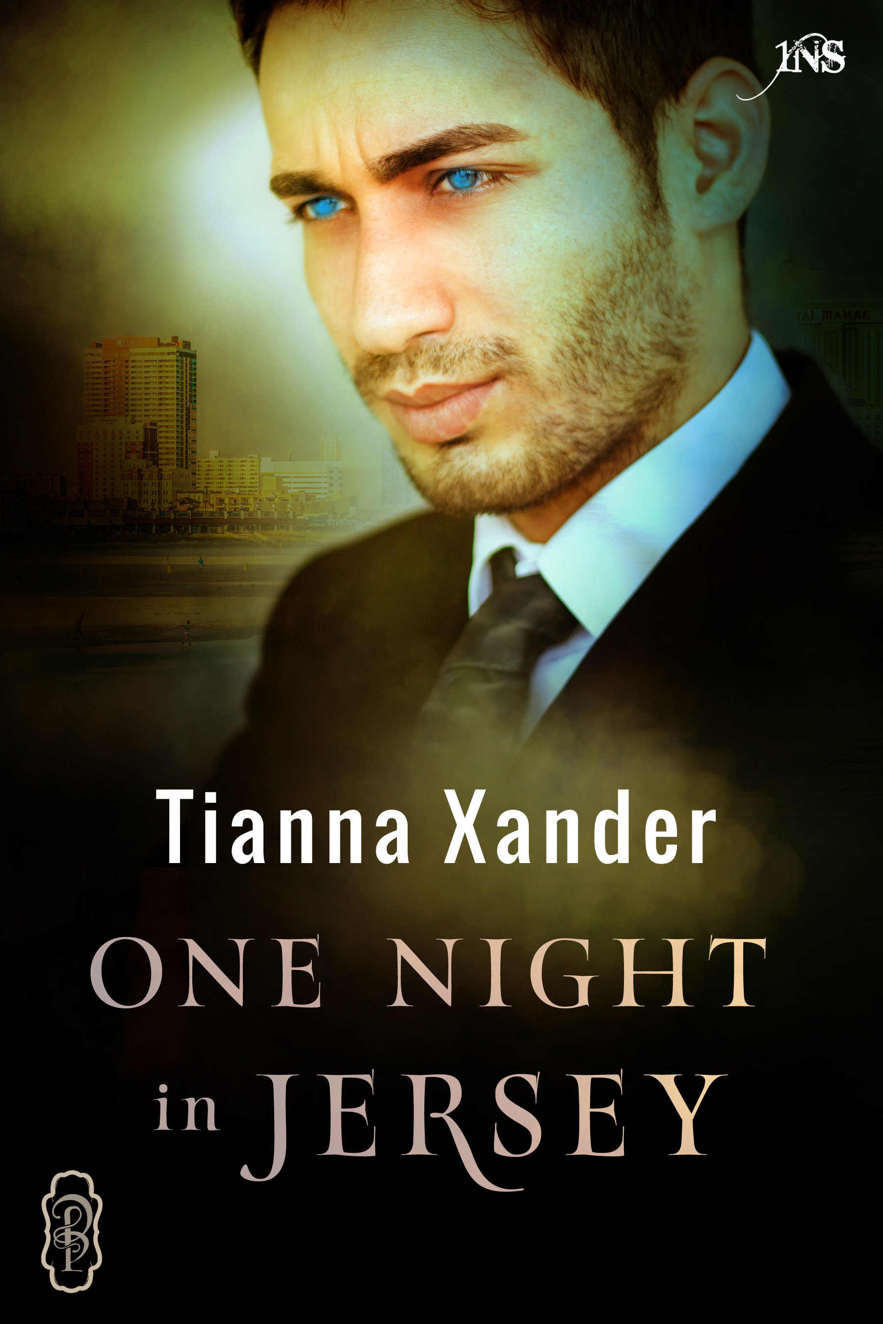 One Night in Jersey book cover