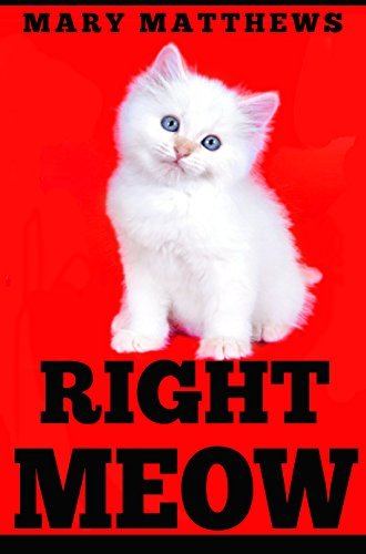 RIGHT MEOW book cover