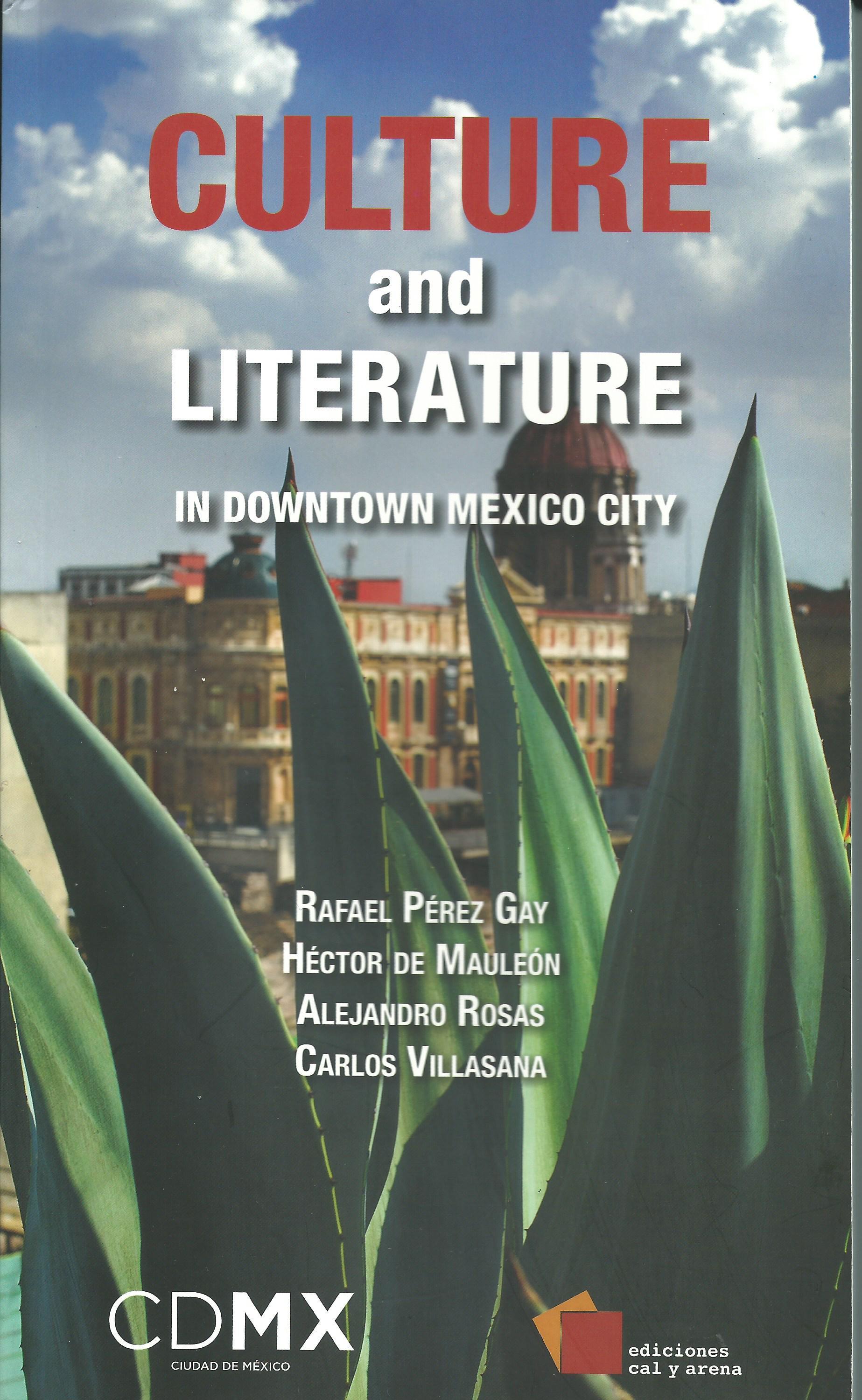 Culture and Literature in Downtown Mexico City book cover