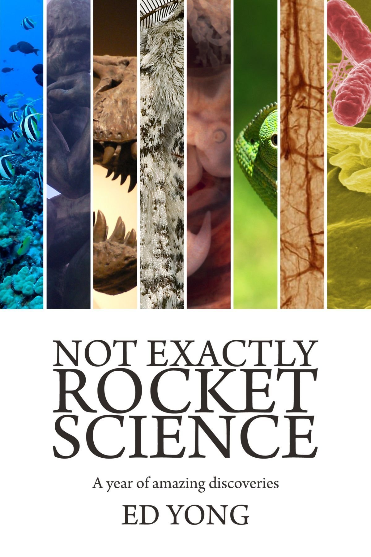 Not Exactly Rocket Science book cover