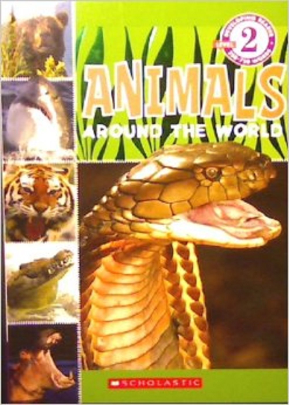 ANIMALS AROUND THE WORLD BOOK intelligence overview