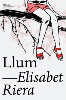 Llum book cover