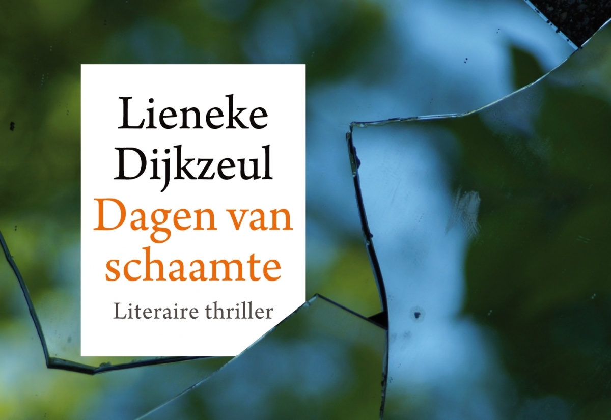 Dagen van schaamte book cover