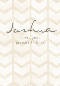 Joshua book cover
