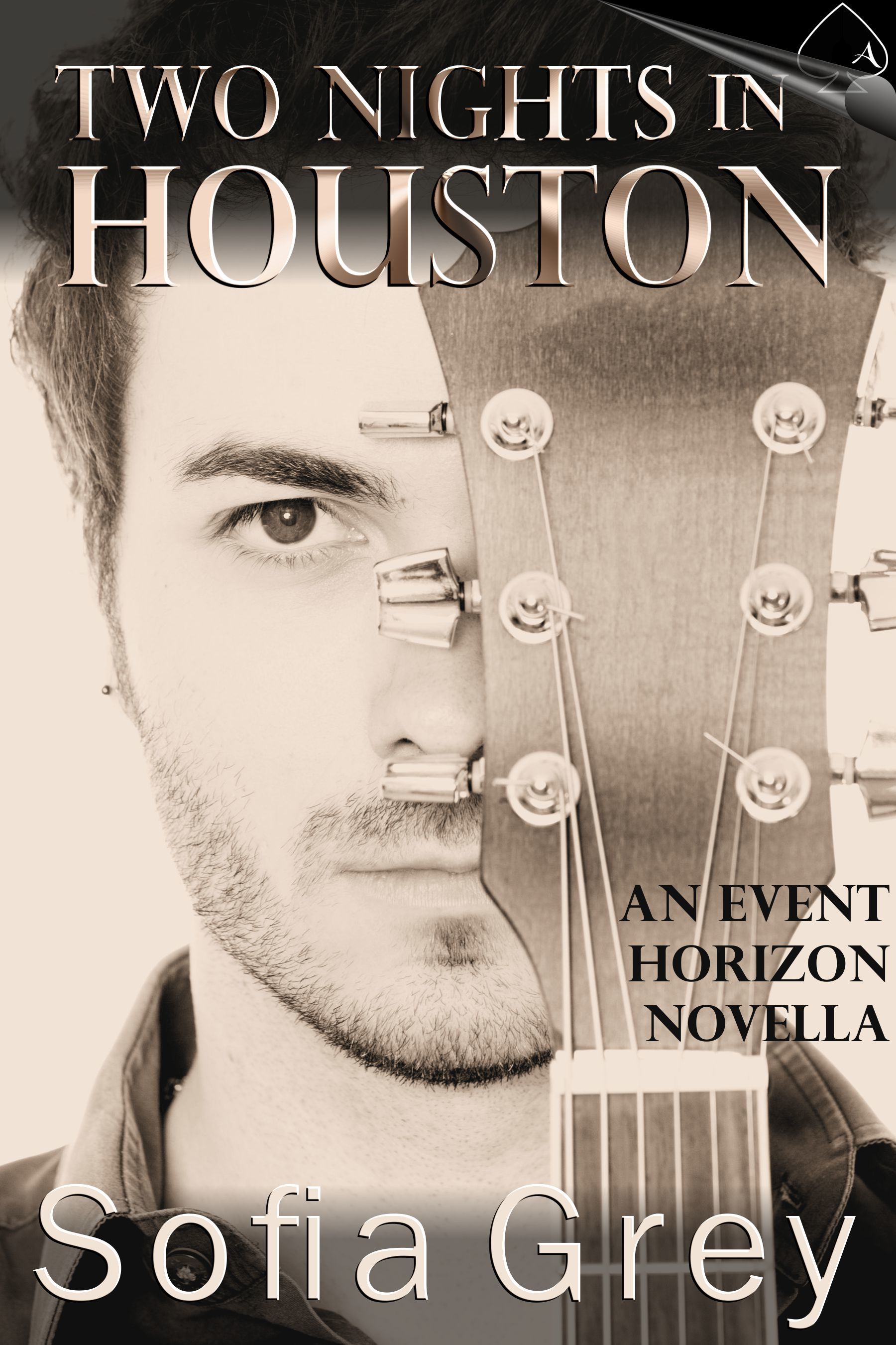 Two Nights in Houston book cover