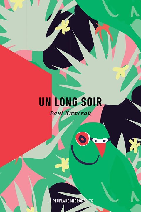 Un long soir book cover
