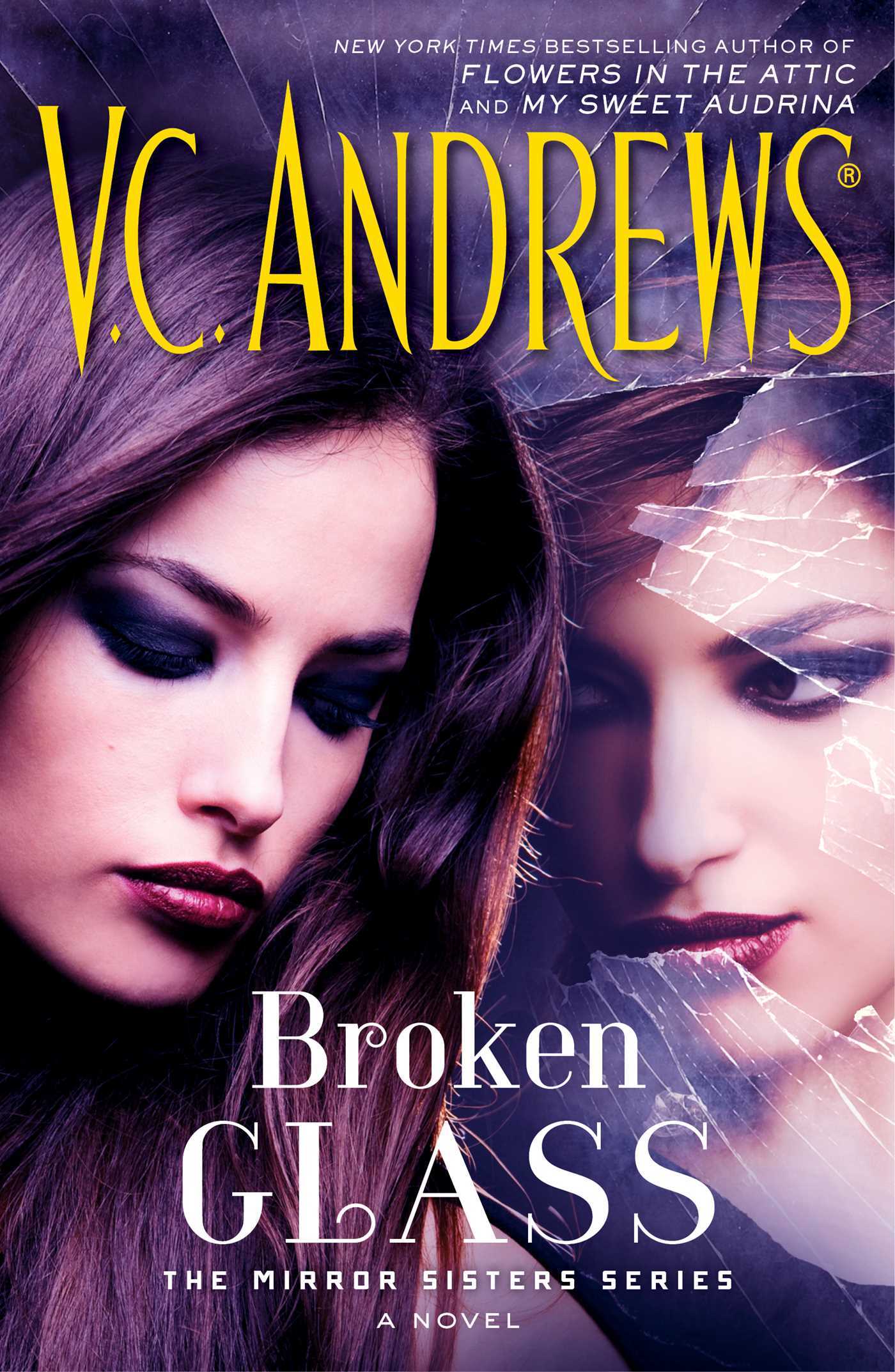 Broken Glass book cover