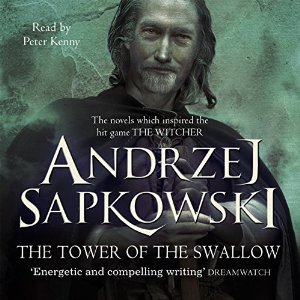 The Tower of the Swallow (The Witcher, #6)