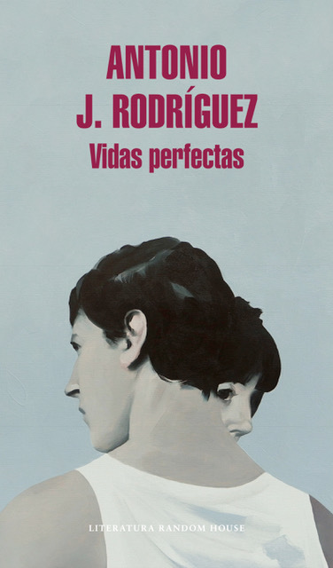Vidas perfectas book cover