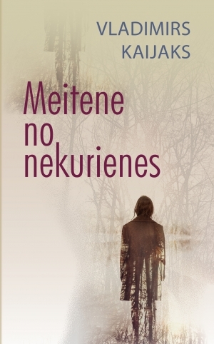 Meitene no nekurienes book cover