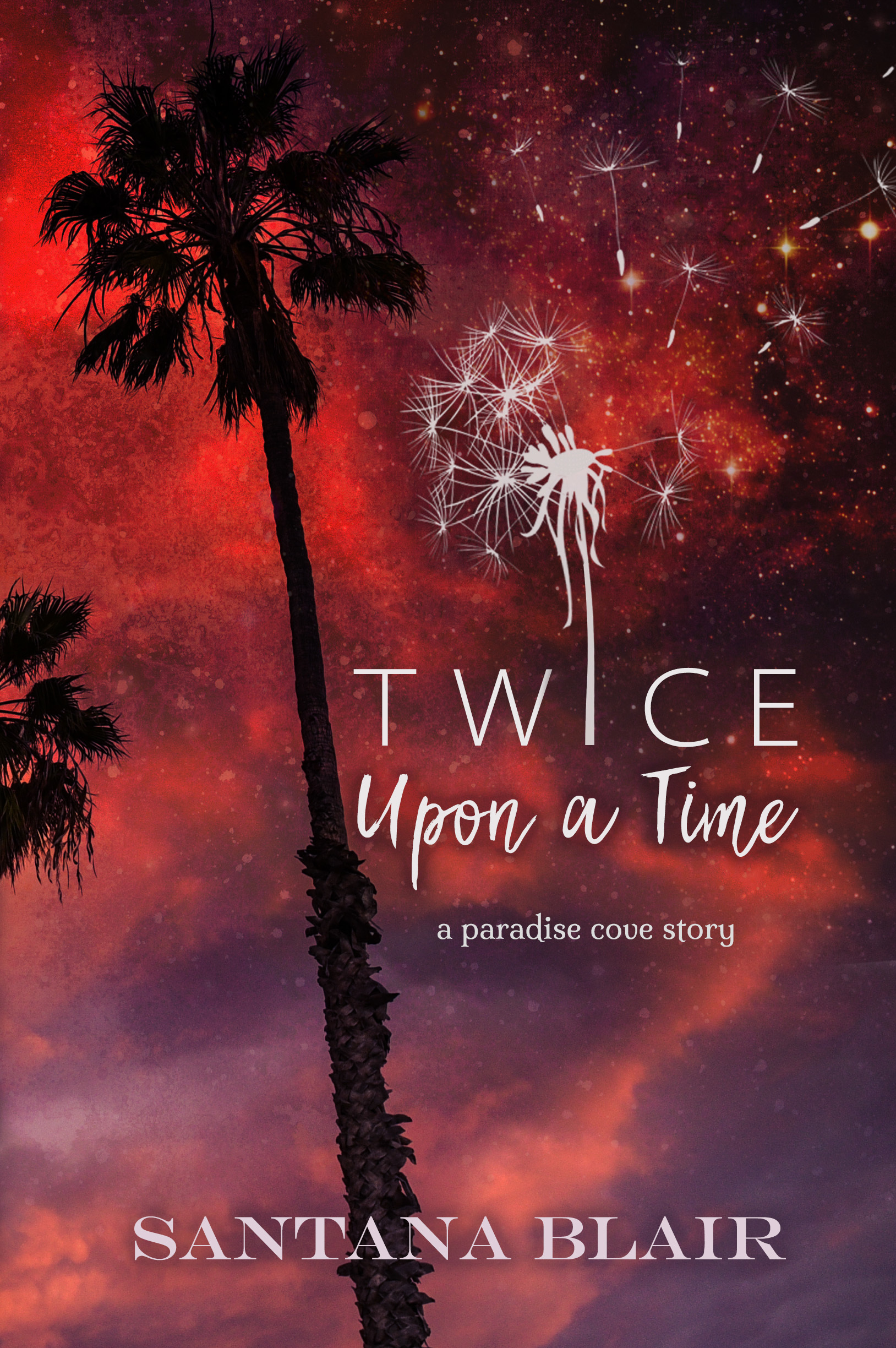 Paradise Cove book cover 2