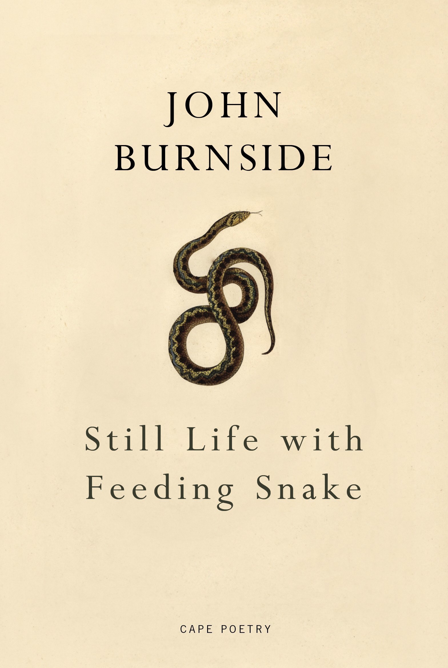 Still Life With Feeding Snake book cover