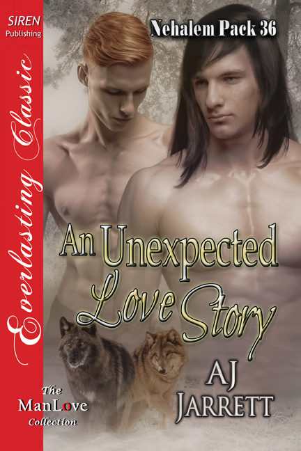 An Unexpected Love Story book cover