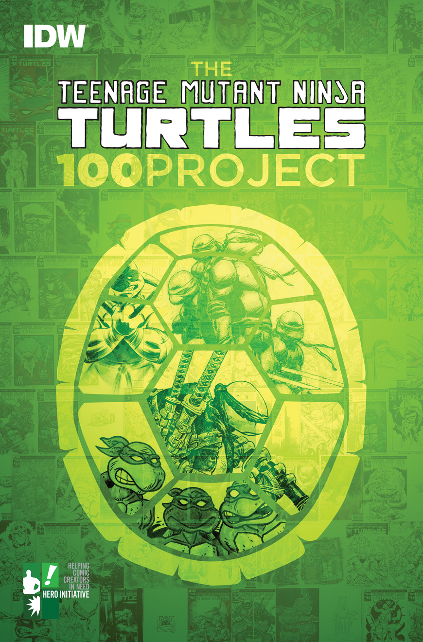 The Teenage Mutant Ninja Turtles book cover