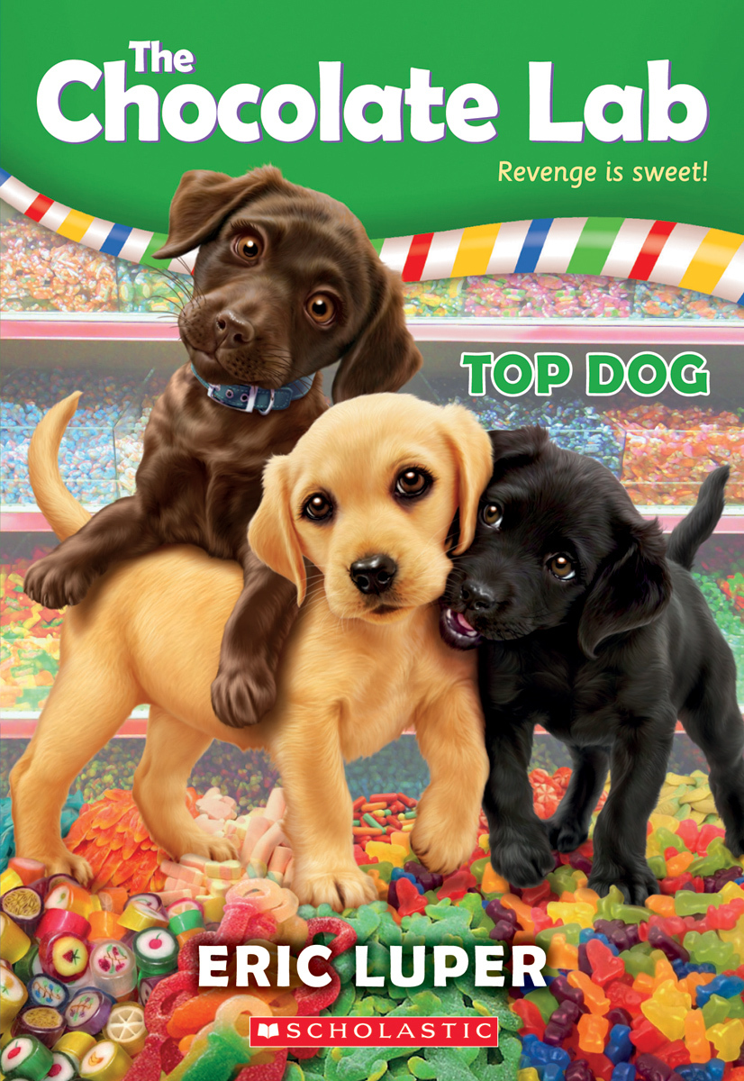 Chocolate Lab book cover 3