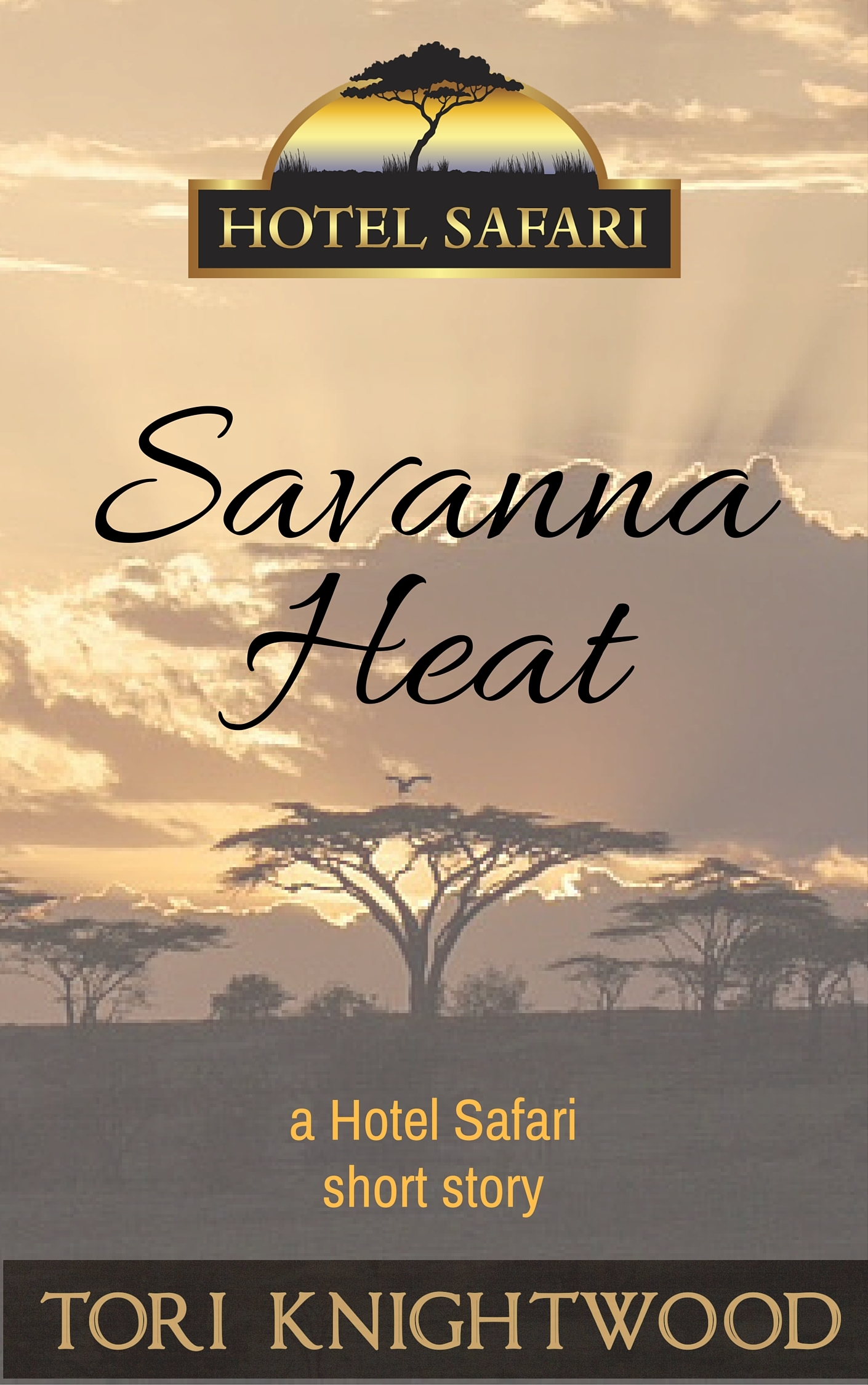 Hotel Safari book cover 3
