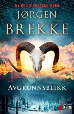 Avgrunnsblikk book cover