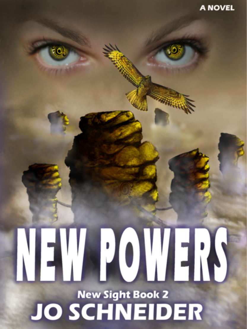 New Sight book cover 2