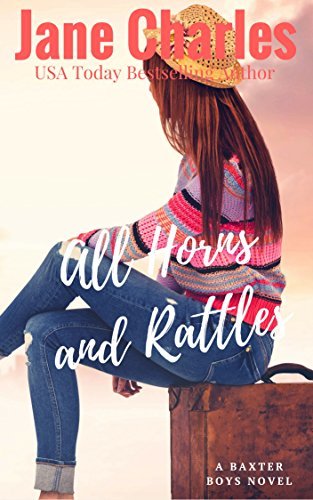 The Baxter Boys book cover 2