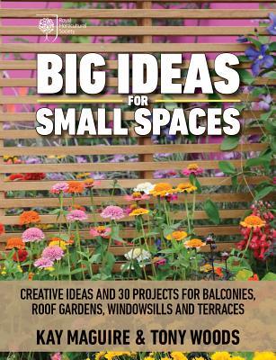 Big Ideas for Small Spaces: Creative Ideas and 30 Projects for Balconies, Roof Gardens, Windowsills and Terraces