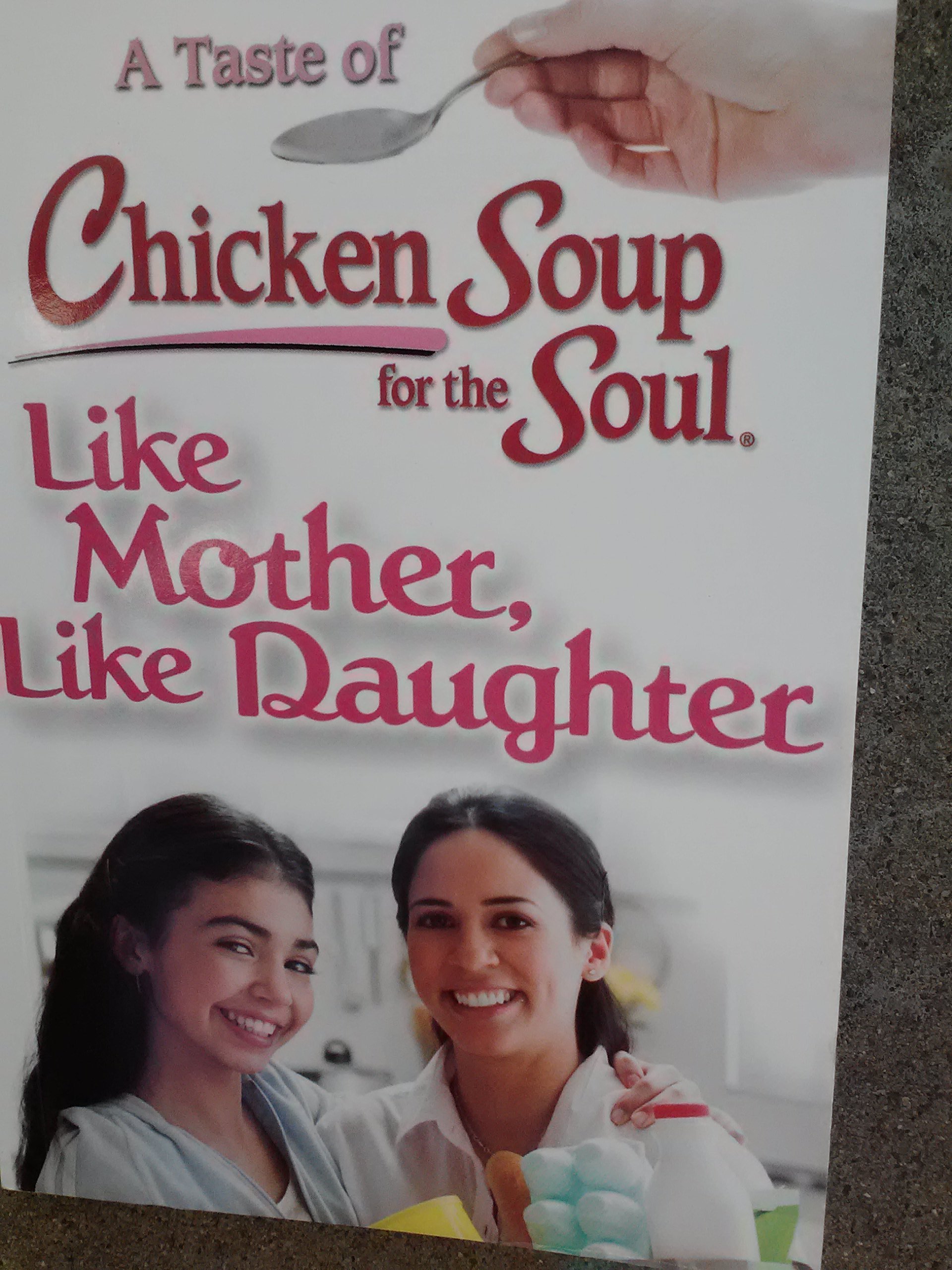 A Taste of Chicken Soup for the Soul: Like Mother, Like Daughter by ...