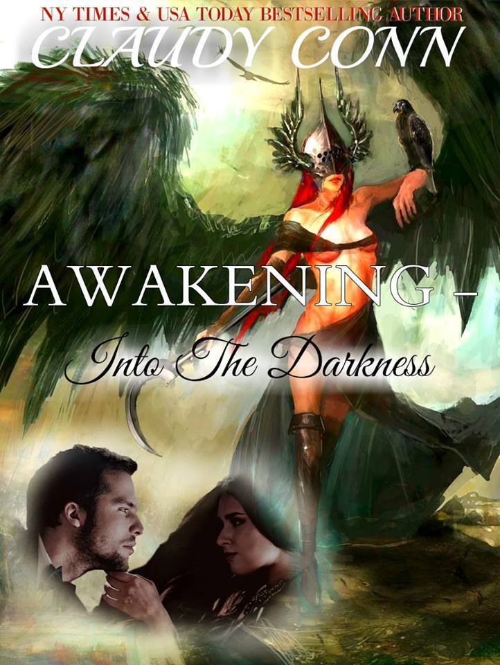 Into the Darkness book cover