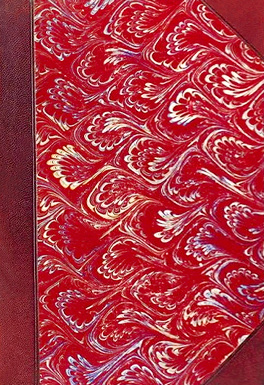 Штосс book cover