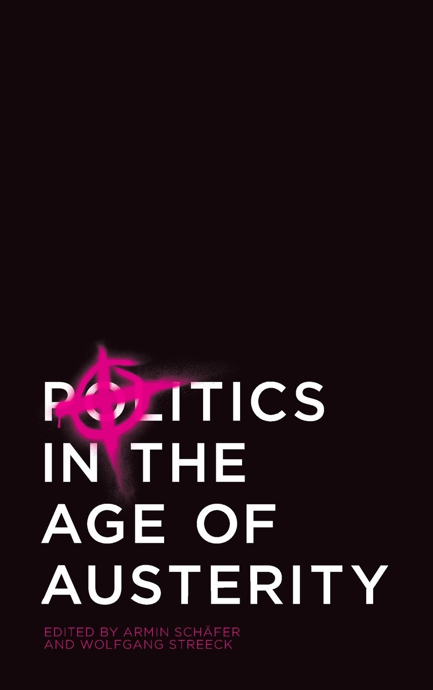 Politics in the Age of Austerity book cover