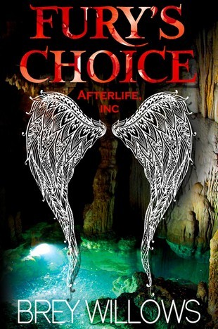 Fury's Choice