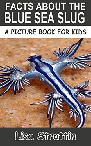 Fun Facts About the Blue Sea Slug