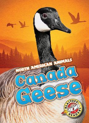 Canada Geese book cover