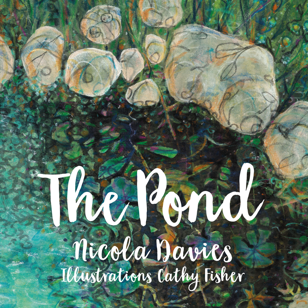 The Pond book cover