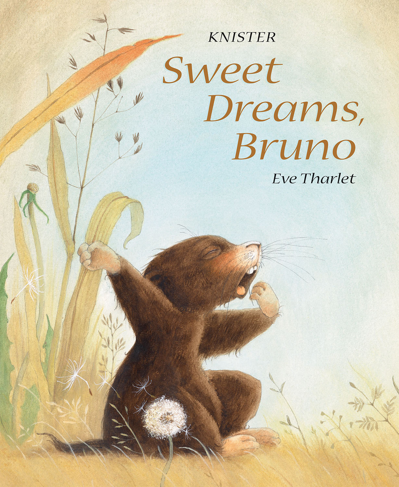 Sweet Dreams, Bruno book cover