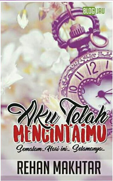 Aku Telah Mencintaimu