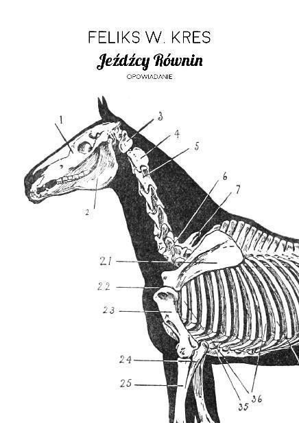 Jeźdźcy równin book cover