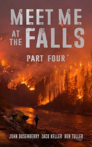 Meet Me At The Falls book cover