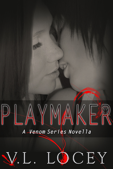 Playmaker book cover
