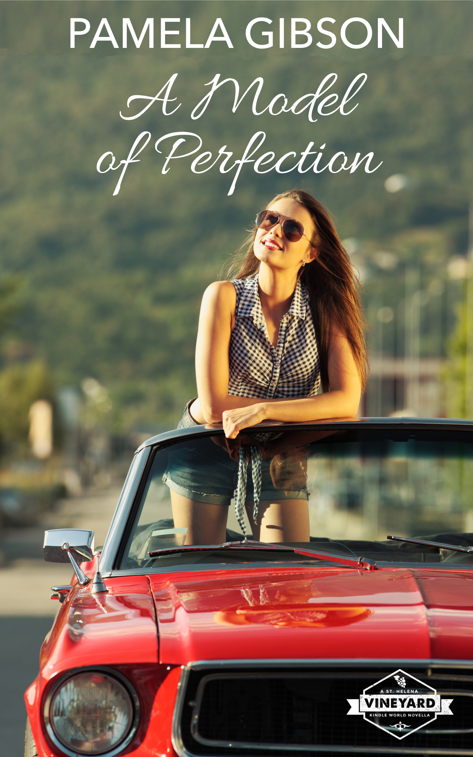 A Model of Perfection book cover