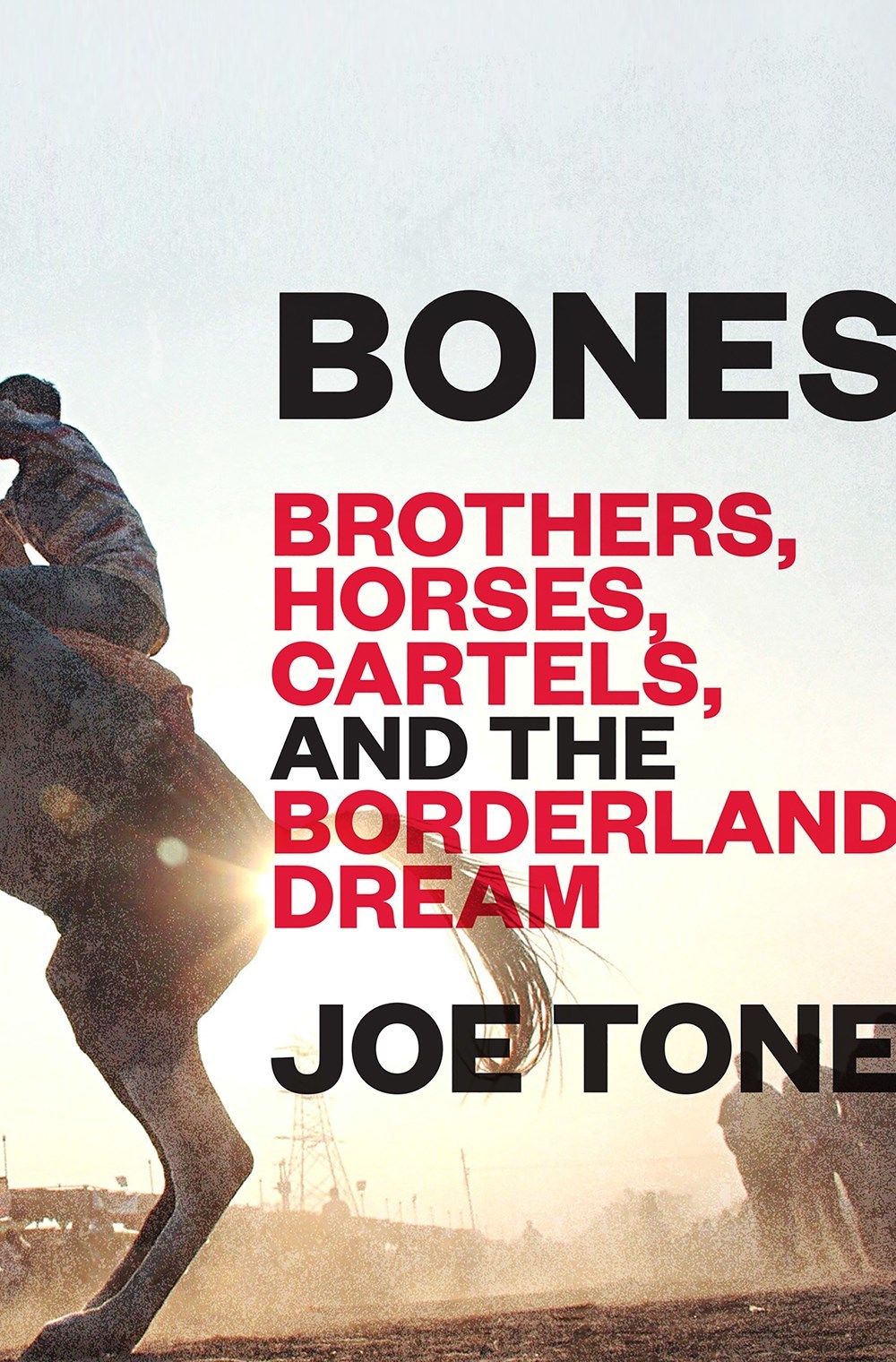 Bones: Brothers, Horses, Cartels, and the Borderland Dream