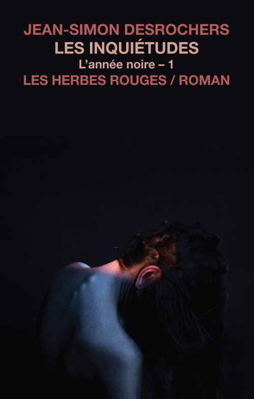 L'année noire book cover 1