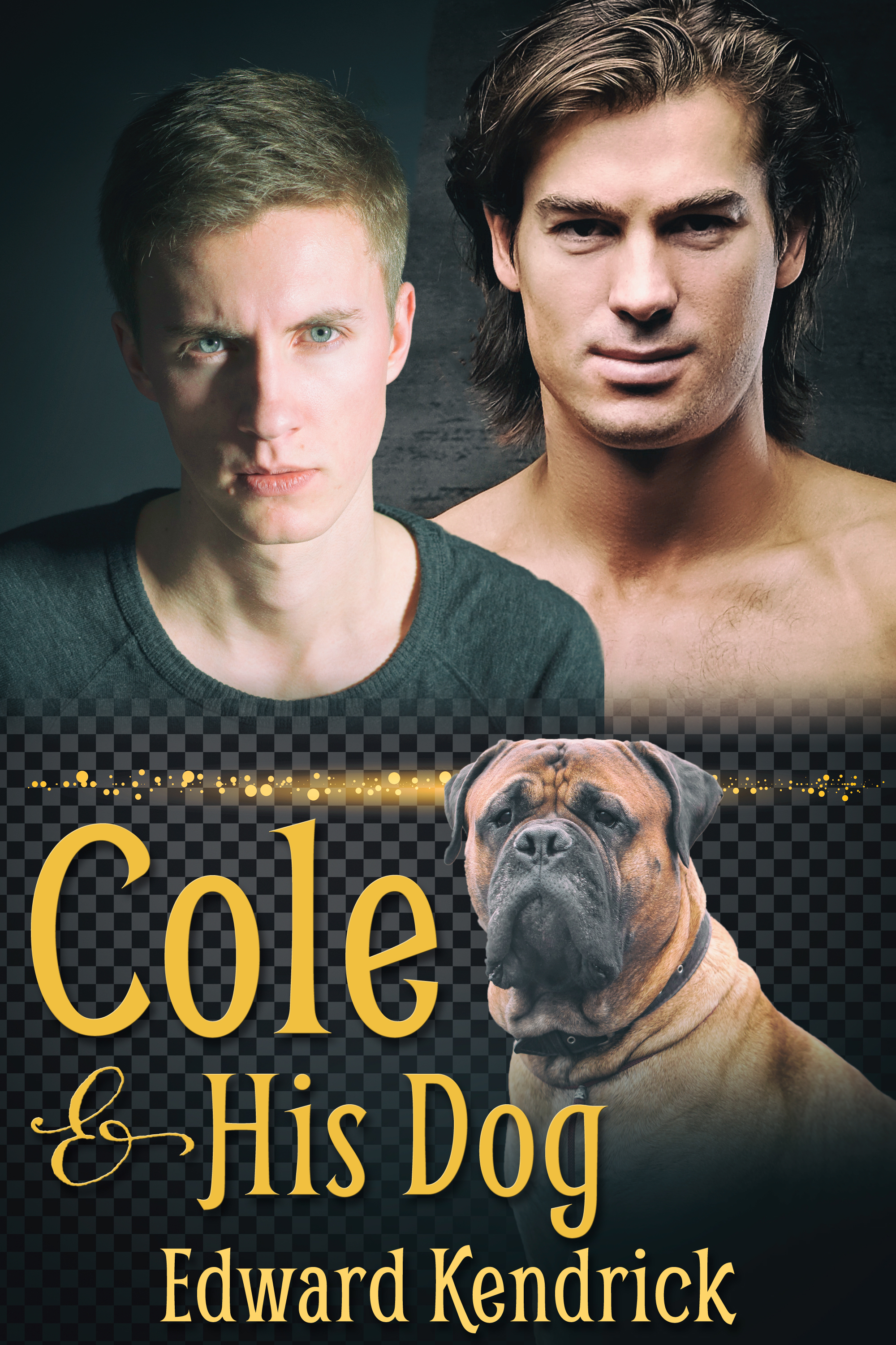 Cole & His Dog book cover