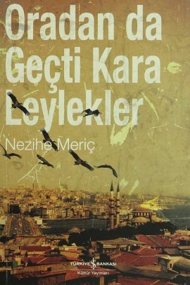 Oradan da Geçti Kara Leylekler book cover