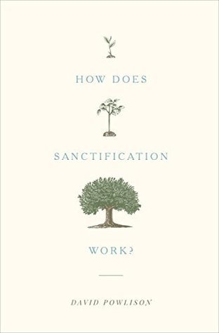 How Does Sanctification Work? book cover