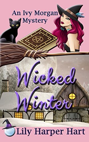 Wicked Winter book cover