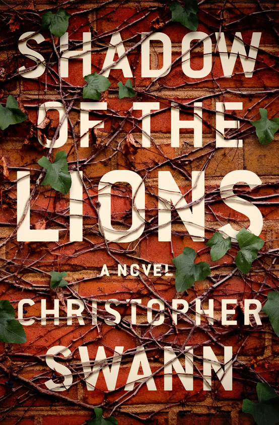 Shadow of the Lions